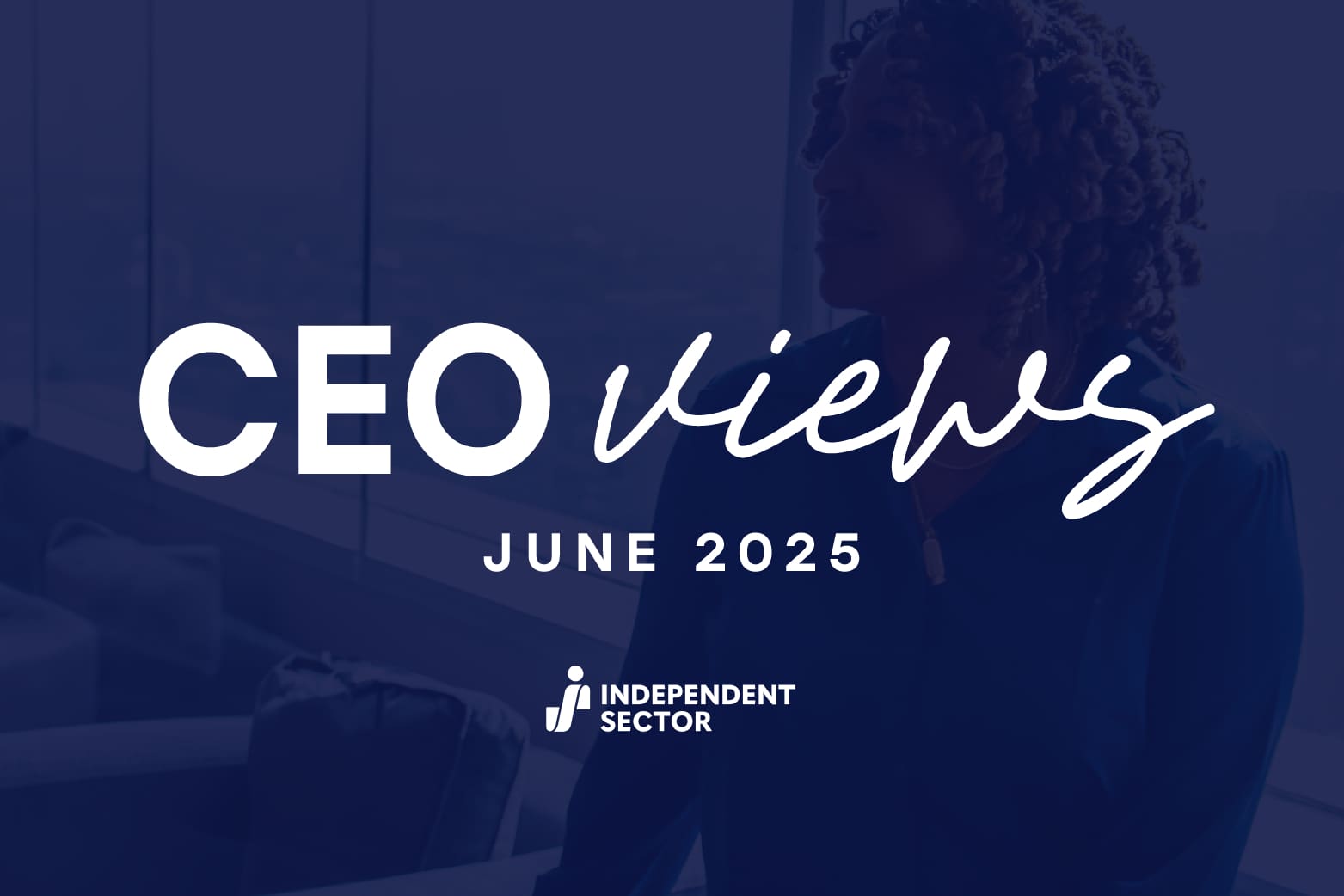 CEO Views banner image