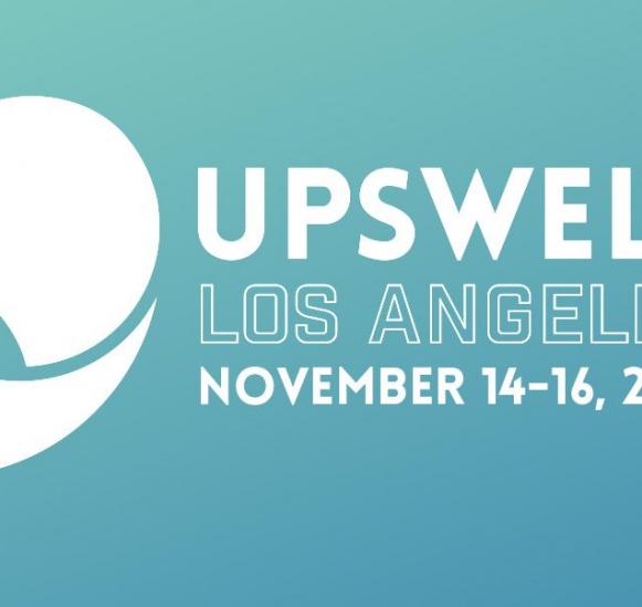 Introducing Upswell - Independent Sector