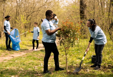 Team,Of,Volunteers,Planting,Trees,Around,The,Forest,Area,For A group of community service volunteers plant a tree together while others pick up trash in the background.